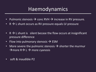 Haemodynamics
• Pulmonic stenosis  conc RVH  increase in RV pressure.
• R  L shunt occurs as RV pressure equals LV pressure
• R  L shunt is silent becase the flow occurs at insignificant
pressure difference
• Flow into pulmonary stenosis  ESM
• More severe the pulmonic stenosis  shorter the murmur
more R L  more cyanosis
• soft & inaudible P2
 