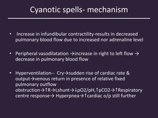 Cyanotic spells- mechanism
• Increase in infundibular contractility-results in decreased
pulmonary blood flow due to increased nor adrenaline level
• Peripheral vasodilatation →increase in right to left flow →
decrease in pulmonary blood flow
• Hyperventilation-- Cry→sudden rise of cardiac rate &
output→venous return in presence of relative fixed
pulmonary outflow
obstruction→R→Lshunt→pO2/pH,pCO2→Respiratory
centre response→ Hyperpnea→cardiac o/p still further
 