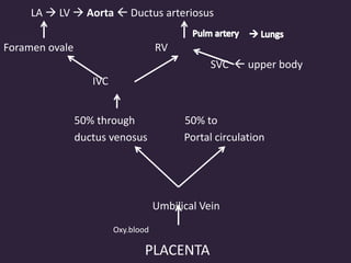 LA  LV  Aorta  Ductus arteriosus
Foramen ovale RV
SVC  upper body
IVC
50% through 50% to
ductus venosus Portal circulation
Umbilical Vein
Oxy.blood
PLACENTA
 