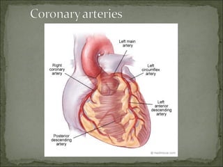 CHRONIC HEART DISEASE (CHD) | PPT