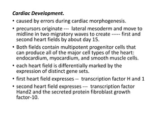 Cardiac Development.
• caused by errors during cardiac morphogenesis.
• precursors originate --- lateral mesoderm and move to
midline in two migratory waves to create ----- first and
second heart fields by about day 15.
• Both fields contain multipotent progenitor cells that
can produce all of the major cell types of the heart:
endocardium, myocardium, and smooth muscle cells.
• each heart field is differentially marked by the
expression of distinct gene sets.
• first heart field expresses -- transcription factor H and 1
• second heart field expresses --- transcription factor
Hand2 and the secreted protein fibroblast growth
factor-10.
 