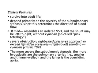 Clinical Features.
• survive into adult life;
• depend primarily on the severity of the subpulmonary
stenosis, since this determines the direction of blood
flow.
• If mild--- resembles an isolated VSD, and the shunt may
be left-to-right, without cyanosis (so-called “pink
tetralogy”).
• severe obstruction, right-sided pressures approach or
exceed left-sided pressures-- right-to-left shunting ---
cyanosis (classic TOF).
• The more severe the subpulmonic stenosis, the more
hypoplastic are the pulmonary arteries (i.e., smaller
and thinner-walled), and the larger is the overriding
aorta.
 