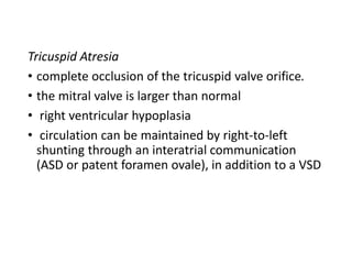 Tricuspid Atresia
• complete occlusion of the tricuspid valve orifice.
• the mitral valve is larger than normal
• right ventricular hypoplasia
• circulation can be maintained by right-to-left
shunting through an interatrial communication
(ASD or patent foramen ovale), in addition to a VSD
 
