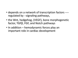 • depends on a network of transcription factors ----
regulated by --signaling pathways,
• the Wnt, hedgehog, (VEGF), bone morphogenetic
factor, TGFβ, FGF, and Notch pathways
• In addition – hemodynamic forces play an
important role in cardiac development
 
