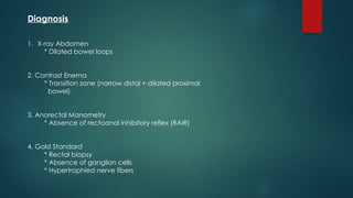 Comprehensive Overview of Congenital Diaphragmatic Hernia and Neonatal ...