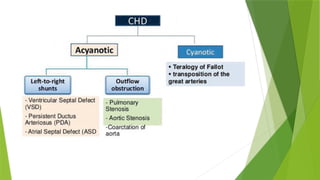 Comprehensive Overview of Congenital Heart Disease Management in ...