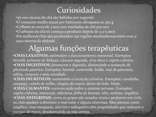 Curiosidades
 •36.000 xícaras de chá são bebidas por segundo
 •O consumo médio anual por habitante ultrapassa as 450 g
 •Colhem-se cerca de 2.600.000 toneladas de chá por ano
 •O arbusto do chá só começa a produzir depois de 3 a 5 anos
 •Os melhores chás são produzidos nas regiões montanhosas entre 1000 a
 2500 metros de altitude

         Algumas funções terapêuticas
•CHÁS LAXATIVOS: estimulam o funcionamento intestinal. Exemplos:
hortelã, semente de linhaça, cáscara-sagrada, erva-doce e capim-cidreira.
•CHÁS DIGESTIVOS: favorecem a digestão, diminuindo a sensação de
plenitude gástrica. Exemplos: hortelã, camomila, boldo, raiz de genciana,
sálvia, carqueja e anis-estrelado.
•CHÁS DIURÉTICOS: aumentam a excreção urinária. Exemplos: cavalinha,
carqueja, cabelo de milho, chapéu-de-couro, dente-de-leão, limão.
•CHÁS CALMANTES: exercem ação sobre o sistema nervoso. Exemplos:
capim-cidreira, maracujá, valeriana, folha de laranja, tília, melissa, angélica.
•CHÁS ANTIGRIPAIS: como as gripes são estados virais e perfazem um ciclo,
os chás ajudam a diminuir o mal-estar e alguns sintomas. Mas plantas como
angélica, rosa mosqueta, alecrim e sabugueiro têm propriedades que reduzem o
excesso de muco, desobstruindo as vias aéreas.
 