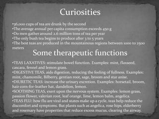 Curiosities
•36,000 cups of tea are drunk by the second
•The average annual per capita consumption exceeds 450 g
•Do men gather around 2.6 million tons of tea per year
•The only bush tea begins to produce after 3 to 5 years
•The best teas are produced in the mountainous regions between 1000 to 2500
meters
           Some therapeutic functions
•TEAS LAXATIVES: stimulate bowel function. Examples: mint, flaxseed,
cascara, fennel and lemon grass.
•DIGESTIVE TEAS, aids digestion, reducing the feeling of fullness. Examples:
mint, chamomile, Bilberry, gentian root, sage, broom and star anise.
•DIURETIC TEAS: increase the urinary excretion. Examples: horsetail, broom,
hair corn-for-leather hat, dandelion, lemon.
•SOOTHING TEAS, exert upon the nervous system. Examples: lemon grass,
passion flower, valerian root, leaf orange, lime, lemon balm, angelica.
•TEAS FLU: how flu are viral and states make up a cycle, teas help reduce the
discomfort and symptoms. But plants such as angelica, rose hips, elderberry
and rosemary have properties that reduce excess mucus, clearing the airway.
 