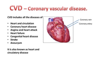 CVD includes all the diseases of
Coronary vein

•
•
•
•
•
•
•

Heart and circulation
Coronary heart disease
Angina and heart attack
Heart failure
Congenital heart disease
Stroke
Aneurysm

It is also known as heart and
circulatory disease

Coronary artery

 
