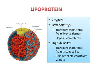  2 types: Low density:– Transport cholesterol
from liver to tissues,
– Deposit cholesterol.

 High density:– Transport cholesterol
from tissues to liver,
– Remove cholesterol from
vessels.

 
