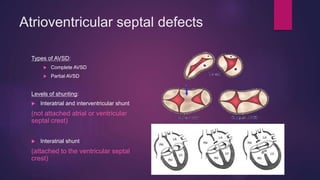 Avsd Defect Types Antenatal Diagnosis of Fetal Heart Disease | PPTX
