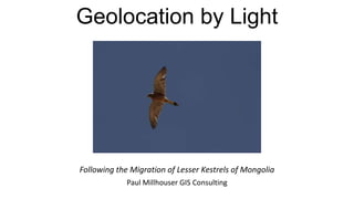Geolocation by Light
Following the Migration of Lesser Kestrels of Mongolia
Paul Millhouser GIS Consulting
 