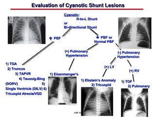 Congenital Heart Disease Screening in the Neonate | PPT