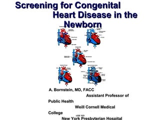 Screening for Congenital
        Heart Disease in the
           Newborn




       A. Bornstein, MD, FACC
                            Assistant Professor of
       Public Health
                     Weill Cornell Medical
       College
                     ABB MD
              New York Presbyterian Hospital
 