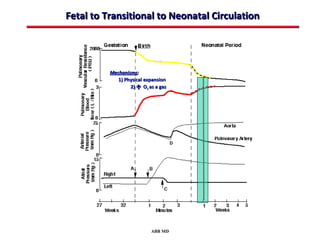 Fetal to Transitional to Neonatal Circulation




          Mechanisms:
             1) Physical expansion
                  2)  O2 as a gas




                           ABB MD
 
