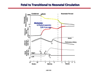 Fetal to Transitional to Neonatal Circulation




          Mechanisms:
             1) Physical expansion
                  2)  O2 as a gas




                          ABB MD
 