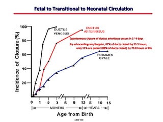 Fetal to Transitional to Neonatal Circulation




                Spontaneous closure of ductus arteriosus occurs in 1st 4 days
                By echocardiogram/doppler, 67% of ducts closed by 25.5 hours;
                     only 11% are patent (89% of ducts closed) by 73.8 hours of life




                   ABB MD
 
