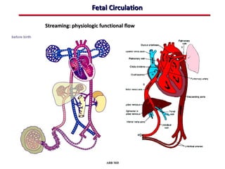 Fetal Circulation

Streaming: physiologic functional flow




                         ABB MD
 