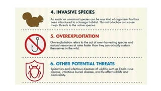 Comprehensive Overview of Biodiversity and Conservation in India | PPTX