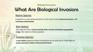 Comprehensive Overview of Biodiversity and Conservation in India | PPTX