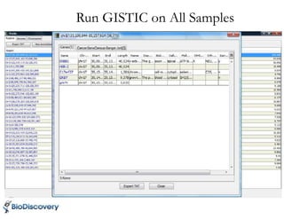 Run GISTIC on All Samples
 