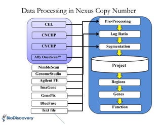 Data Processing in Nexus Copy Number
Pre-Processing
Log Ratio
Segmentation
Project
Regions
Genes
Function
CEL
CNCHP
CYCHP
Affy OncoScan™
NimbleScan
GenomeStudio
Agilent FE
ImaGene
GenePix
BlueFuse
Text file
 