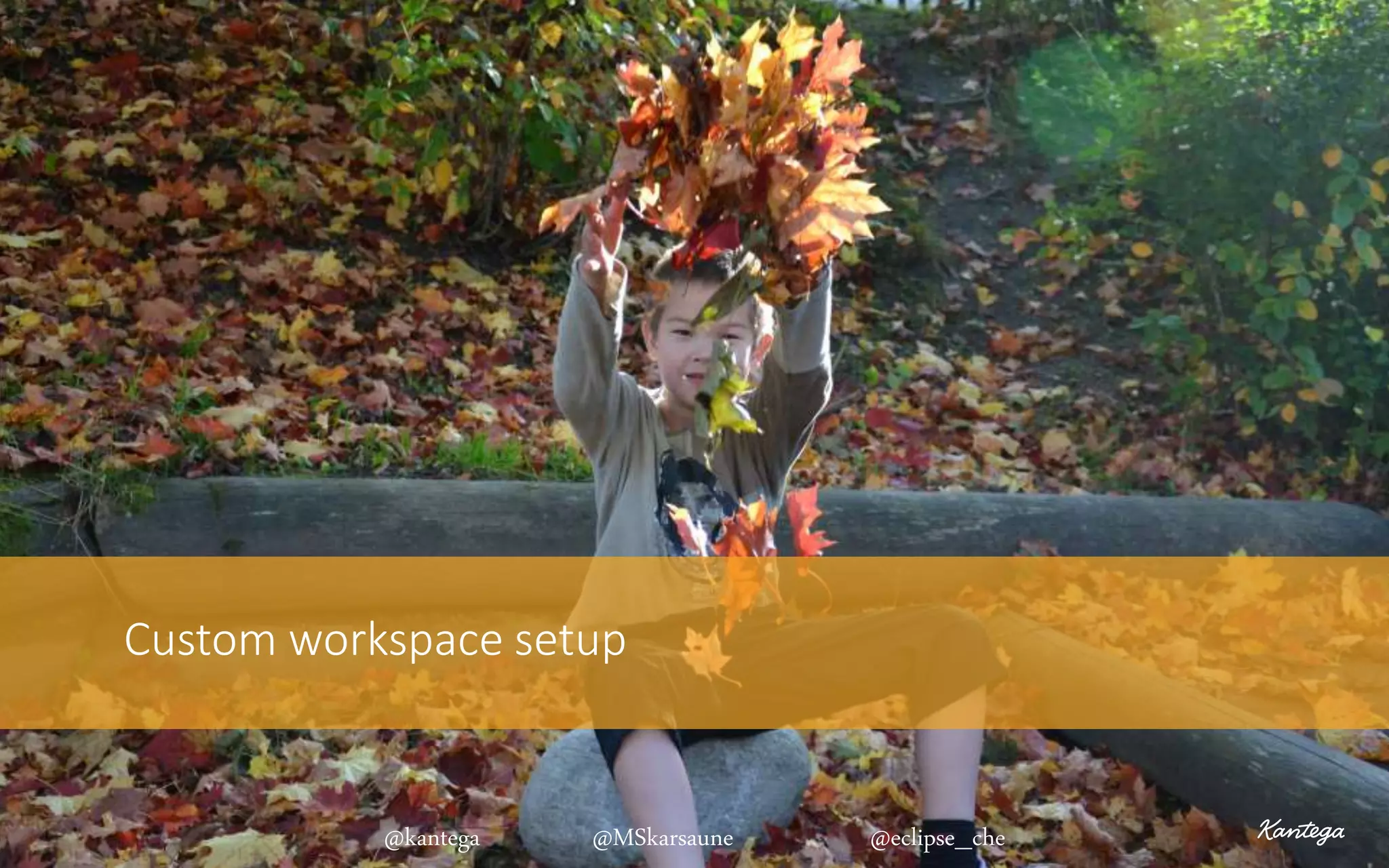 Custom workspace setup
@kantega @MSkarsaune @eclipse_che
 