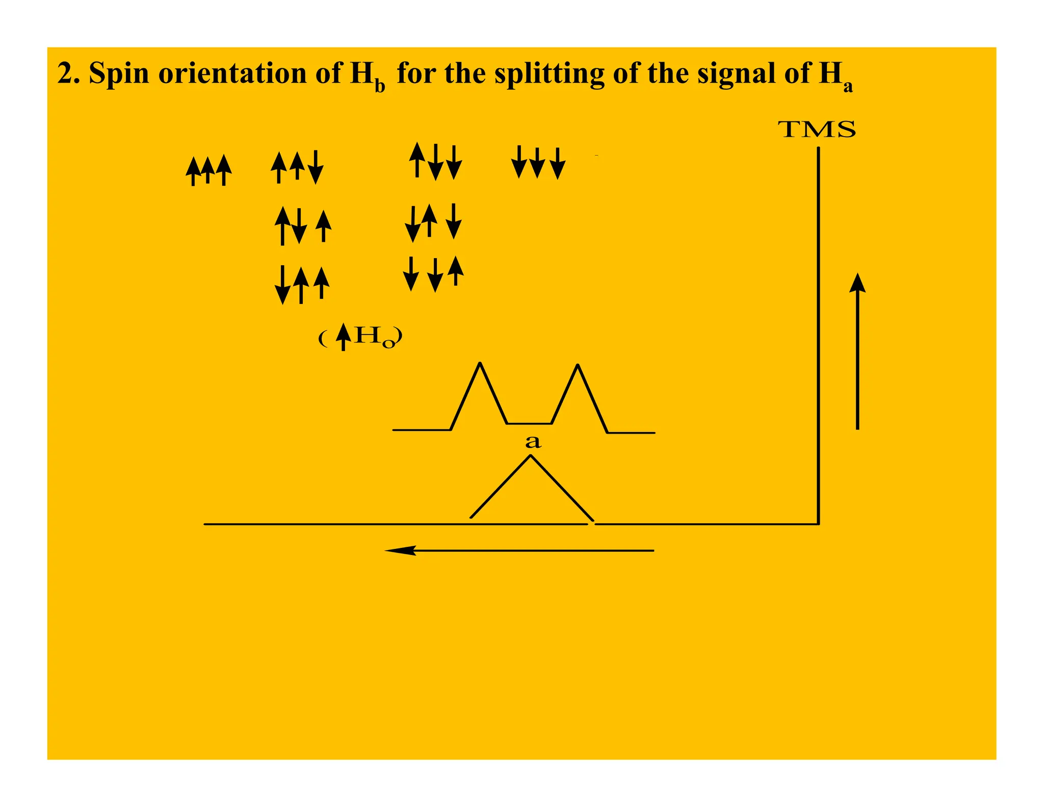 2. Spin orientation of Hb for the splitting of the signal of Ha
TMS
Ho)
(
a
 