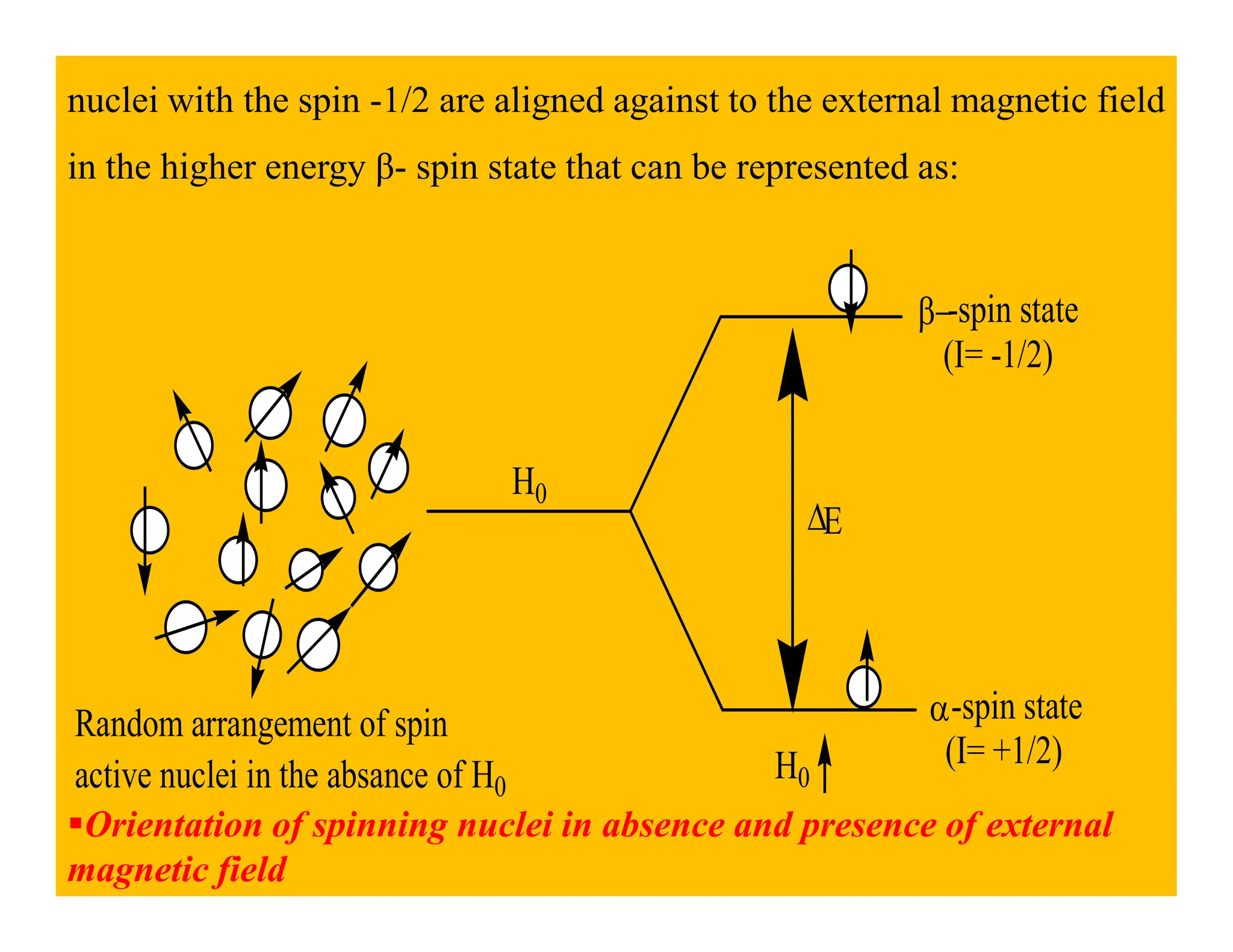 nuclei with the spin -1/2 are aligned against to the external magnetic field
in the higher energy β- spin state that can be represented as:
β−-spin state
(I= -1/2)
H
∆E
α-spin state
(I= +1/2)
H0
Random arrangement of spin
active nuclei in the absance of H0
H0
Orientation of spinning nuclei in absence and presence of external
magnetic field
 