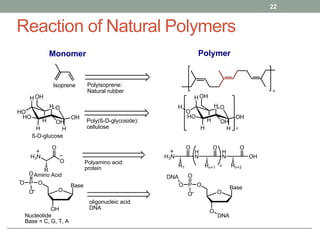 Reaction of Natural Polymers
22
Monomer Polymer
Isoprene
n
Polyisoprene:
Natural rubber
O
H
HO
H
HO
H
H
OH
H
OH
OH
Poly(ß-D-glycoside):
cellulose
O
H
O
H
HO
H
H
OH
H
OH
OH
H
n
ß-D-glucose
H3N
O
O
R
Polyamino acid:
protein
H3N
O
H
N
R1
O
H
N
Rn+1
O
OH
Rn+2
n
Amino Acid
Base
O
OH
O
P
O
O
O
oligonucleic acid
DNA
Nucleotide
Base = C, G, T, A
Base
O
O
O
P
O
O
O
DNA
DNA
 