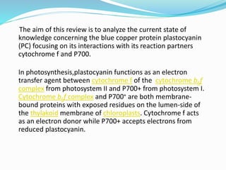 The aim of this review is to analyze the current state of
knowledge concerning the blue copper protein plastocyanin
(PC) focusing on its interactions with its reaction partners
cytochrome f and P700.
In photosynthesis,plastocyanin functions as an electron
transfer agent between cytochrome f of the cytochrome b6f
complex from photosystem II and P700+ from photosystem I.
Cytochrome b6f complex and P700+ are both membrane-
bound proteins with exposed residues on the lumen-side of
the thylakoid membrane of chloroplasts. Cytochrome f acts
as an electron donor while P700+ accepts electrons from
reduced plastocyanin.
 