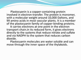 Plastocyanin is a copper-containing protein
involved in electron-transfer. The protein is monomer,
with a molecular weight around 10,000 Daltons, and
99 amino acids in most vascular plants. It is a member
of the plastocyanin family of copper-binding proteins.
It carries electrons at one point in the electron
transport chain.in its reduced form, it gives electrons
directly to the systems that reduce nitrate and sulfate
and via NADPH to the system that reduces carbon
dioxide.
Plastocyanin molecules are water soluble and can
move through the inner space of the thylakoids.
 
