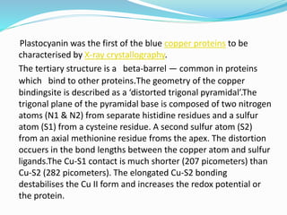 Plastocyanin was the first of the blue copper proteins to be
characterised by X-ray crystallography.
The tertiary structure is a beta-barrel — common in proteins
which bind to other proteins.The geometry of the copper
bindingsite is described as a ‘distorted trigonal pyramidal’.The
trigonal plane of the pyramidal base is composed of two nitrogen
atoms (N1 & N2) from separate histidine residues and a sulfur
atom (S1) from a cysteine residue. A second sulfur atom (S2)
from an axial methionine residue froms the apex. The distortion
occuers in the bond lengths between the copper atom and sulfur
ligands.The Cu-S1 contact is much shorter (207 picometers) than
Cu-S2 (282 picometers). The elongated Cu-S2 bonding
destabilises the Cu II form and increases the redox potential or
the protein.
 