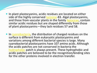  In plant plastocyanins, acidic residues are located on either
side of the highly conserved tyrosine-83. Algal plastocyanins,
and those from vascular plants in the family Apiaceae, contain
similar acidic residues but are shaped differently from those
of plant plastocyanins—they lack residues 57 and 58.
 In cyanobacteria, the distribution of charged residues on the
surface is different from eukaryotic plastocyanins and
variations among different bacterial species is large. Many
cyanobacterial plastocyanins have 107 amino acids. Although
the acidic patches are not conserved in bacteria the
hydrophobic patch is always present. These hydrophobic and
acidic patches are believed to be the recognition/binding sites
for the other proteins involved in electron transfer.
 