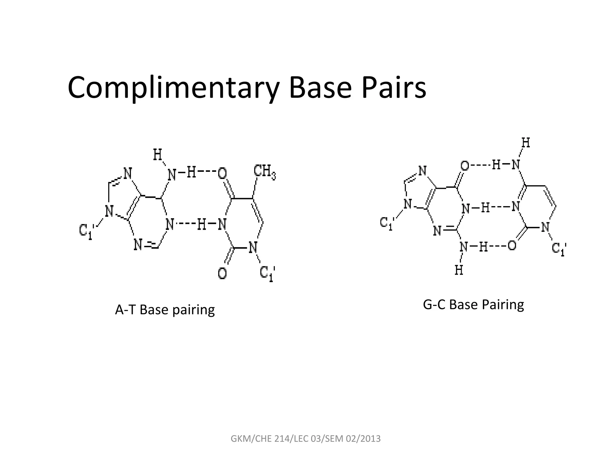 Complimentary Base Pairs




   A-T Base pairing                                    G-C Base Pairing




                      GKM/CHE 214/LEC 03/SEM 02/2013
 