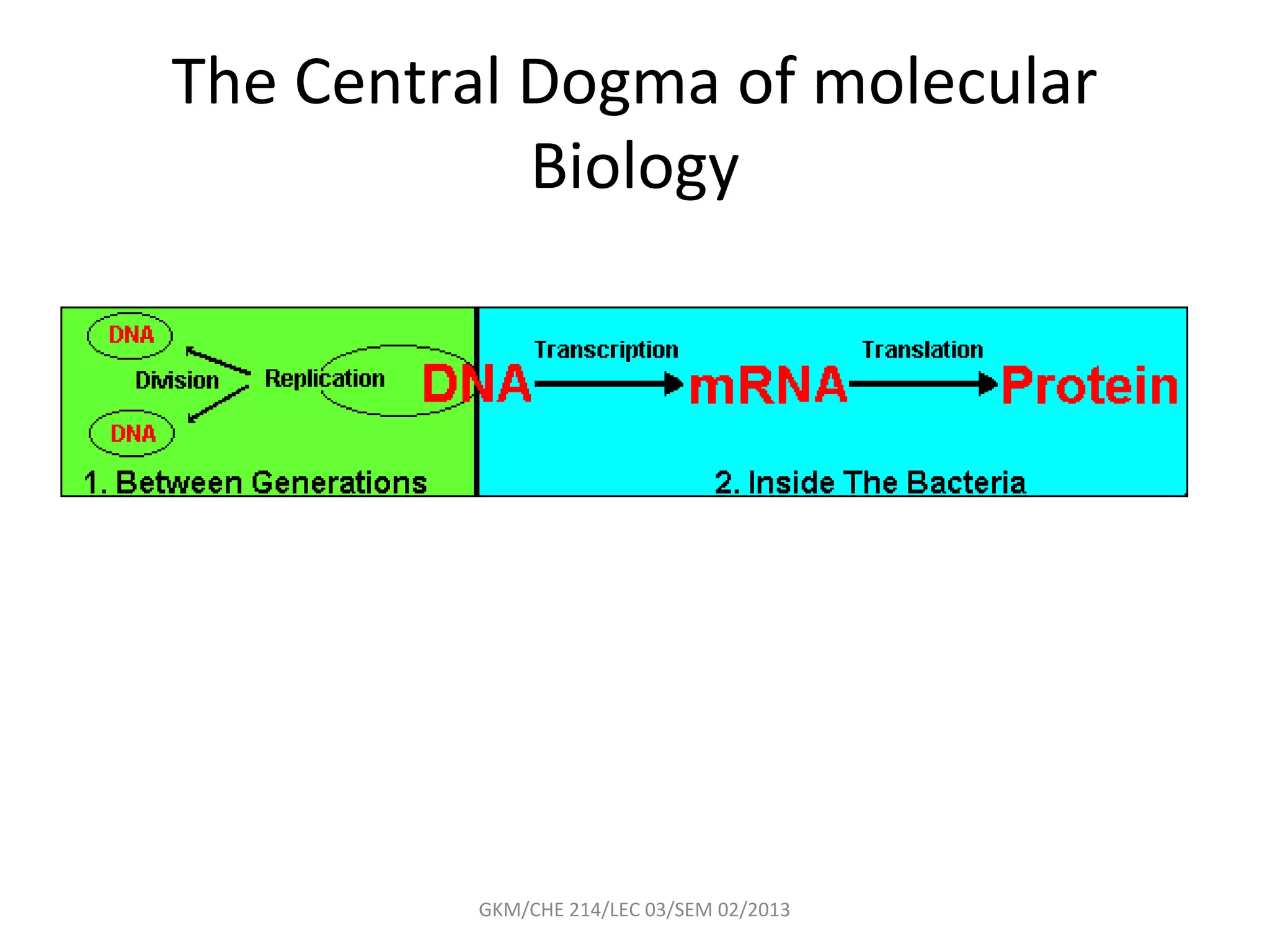 The Central Dogma of molecular
            Biology




         GKM/CHE 214/LEC 03/SEM 02/2013
 