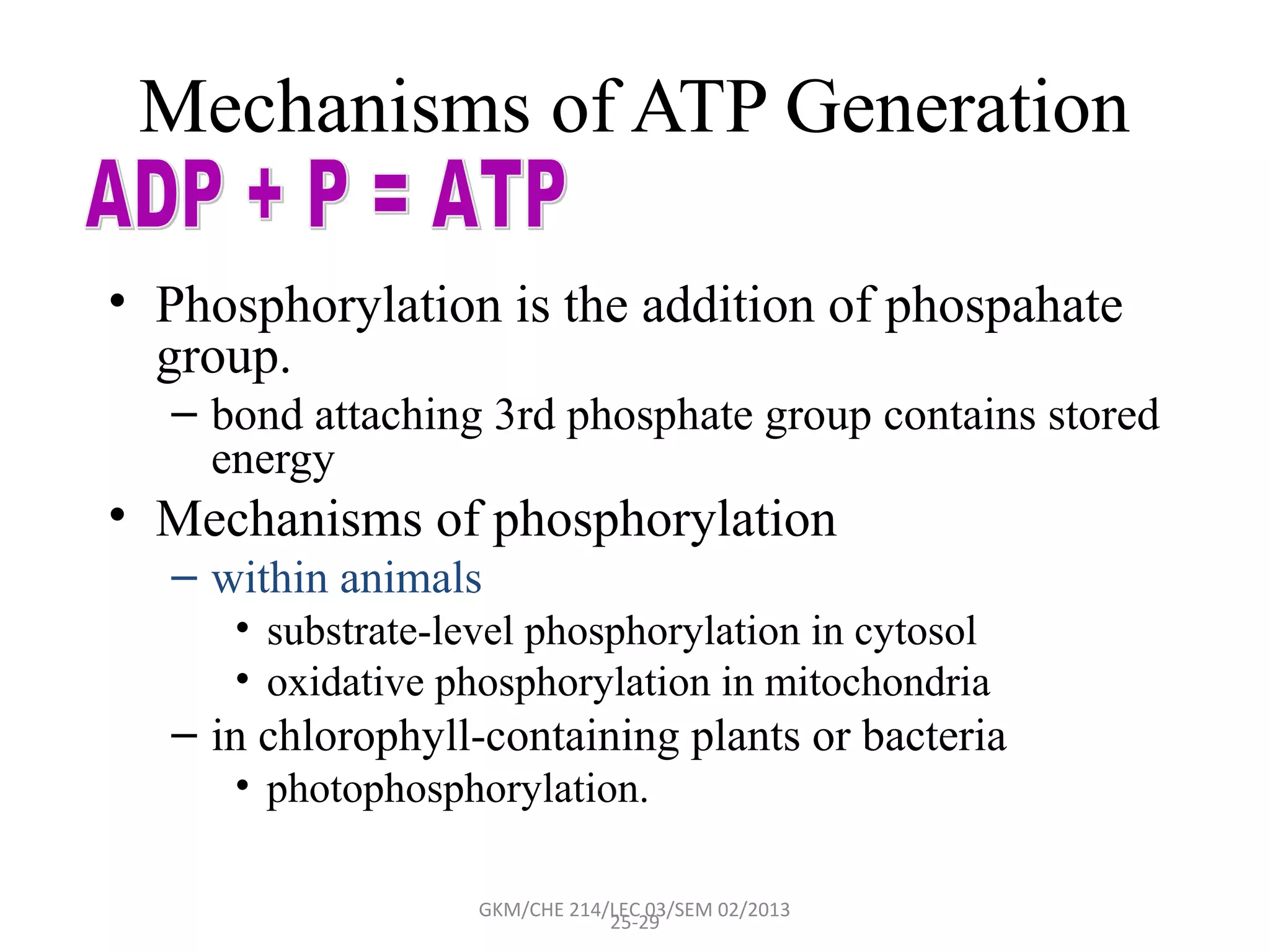 Mechanisms of ATP Generation

• Phosphorylation is the addition of phospahate
  group.
  – bond attaching 3rd phosphate group contains stored
    energy
• Mechanisms of phosphorylation
  – within animals
     • substrate-level phosphorylation in cytosol
     • oxidative phosphorylation in mitochondria
  – in chlorophyll-containing plants or bacteria
     • photophosphorylation.

                   GKM/CHE 214/LEC 03/SEM 02/2013
                               25-29
 