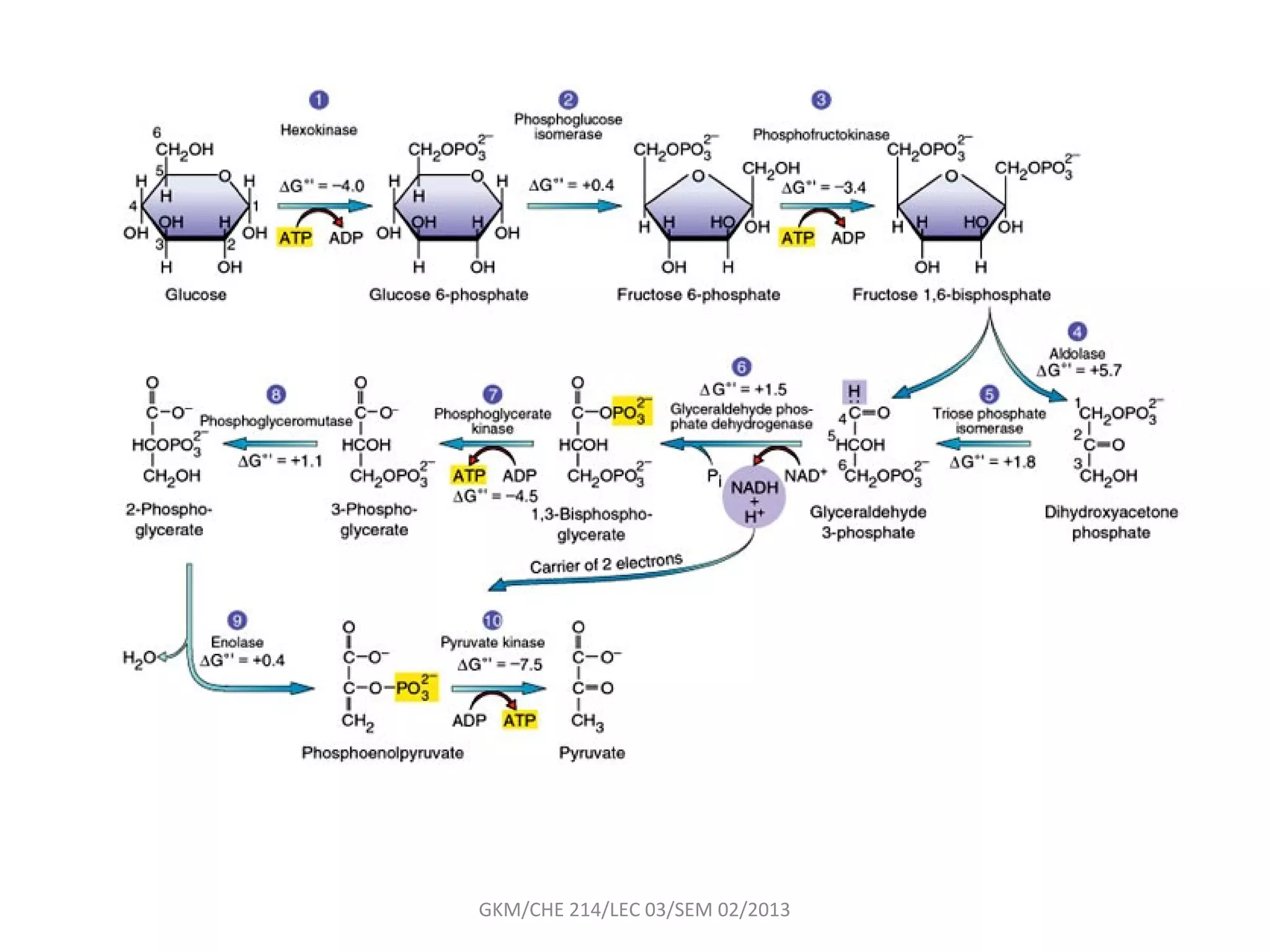 GKM/CHE 214/LEC 03/SEM 02/2013
 