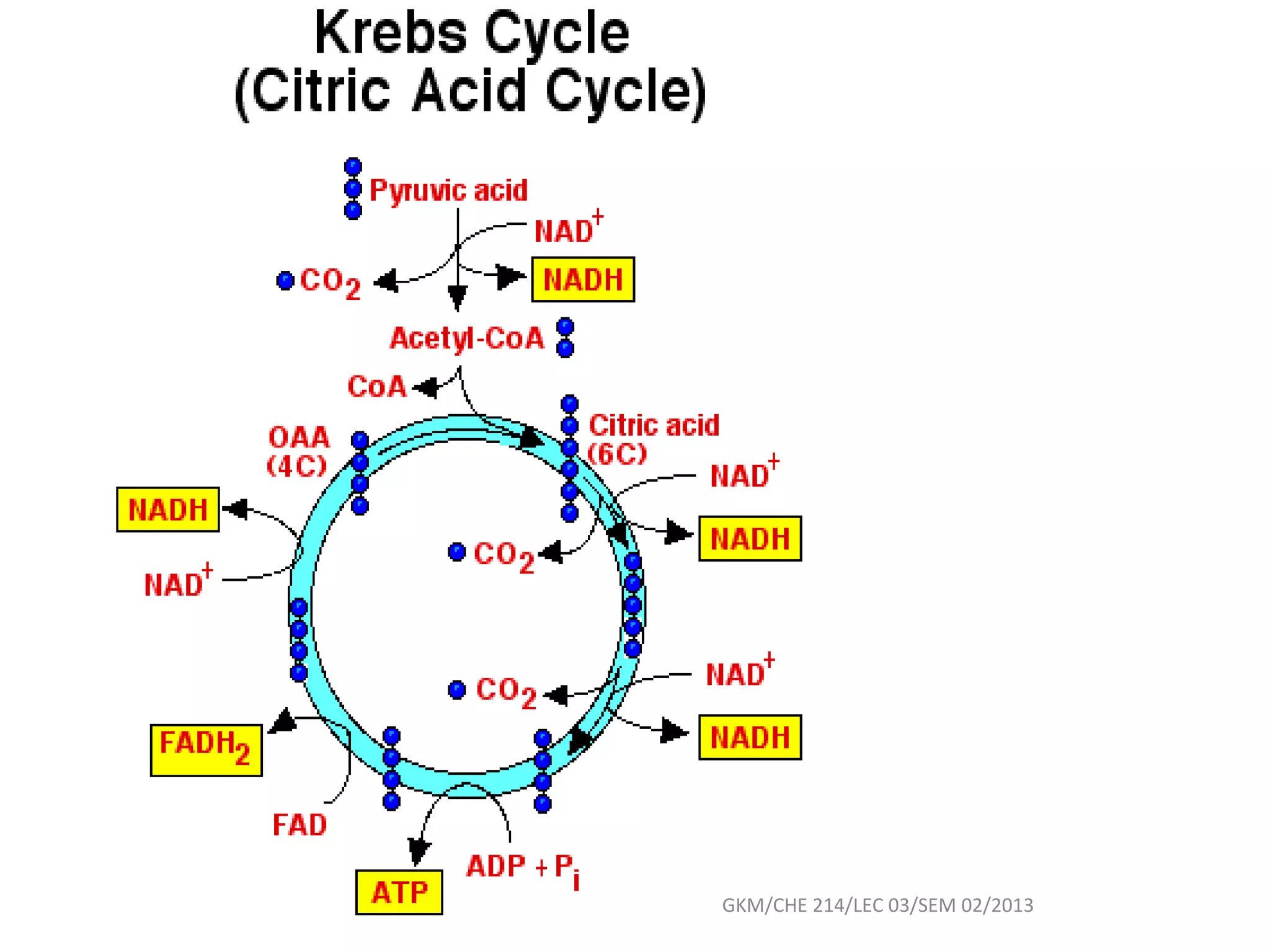 GKM/CHE 214/LEC 03/SEM 02/2013
 