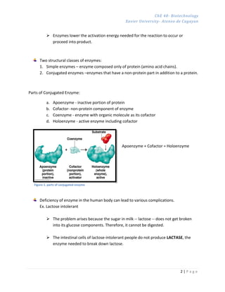 Che Chain Che 40 enzymes and nomenclature | PDF