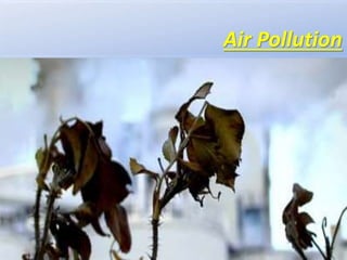 Air Pollution
 
