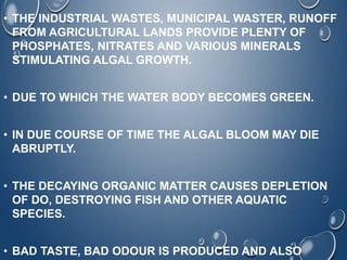• THE INDUSTRIAL WASTES, MUNICIPAL WASTER, RUNOFF
FROM AGRICULTURAL LANDS PROVIDE PLENTY OF
PHOSPHATES, NITRATES AND VARIOUS MINERALS
STIMULATING ALGAL GROWTH.
• DUE TO WHICH THE WATER BODY BECOMES GREEN.
• IN DUE COURSE OF TIME THE ALGAL BLOOM MAY DIE
ABRUPTLY.
• THE DECAYING ORGANIC MATTER CAUSES DEPLETION
OF DO, DESTROYING FISH AND OTHER AQUATIC
SPECIES.
• BAD TASTE, BAD ODOUR IS PRODUCED AND ALSO
 