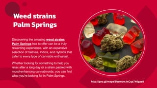 Weed strains
Palm Springs
Discovering the amazing weed strains
Palm Springs has to offer can be a truly
rewarding experience, with an expansive
selection of Sativas, Indica, and Hybrids that
cater to every type of cannabis enthusiast.
Whether looking for something to help you
relax after a long day or a strain packed with
mood-enhancing cannabinoids, you can find
what you're looking for in Palm Springs.
http://goo.gl/maps/BWmowJxCqa7k6gsz8
 