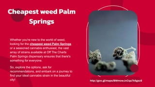 Cheapest weed Palm
Springs
Whether you're new to the world of weed,
looking for the cheapest weed Palm Springs
or a seasoned cannabis enthusiast, the vast
array of strains available at Off The Charts
Palm Springs dispensary ensures that there's
something for everyone.
So, explore the options, ask for
recommendations, and embark on a journey to
find your ideal cannabis strain in the beautiful
city! http://goo.gl/maps/BWmowJxCqa7k6gsz8
 