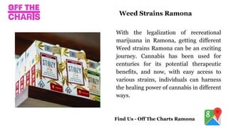 With the legalization of recreational
marijuana in Ramona, getting different
Weed strains Ramona can be an exciting
journey. Cannabis has been used for
centuries for its potential therapeutic
benefits, and now, with easy access to
various strains, individuals can harness
the healing power of cannabis in different
ways.
Weed Strains Ramona
Find Us - Off The Charts Ramona
 