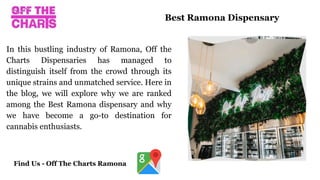In this bustling industry of Ramona, Off the
Charts Dispensaries has managed to
distinguish itself from the crowd through its
unique strains and unmatched service. Here in
the blog, we will explore why we are ranked
among the Best Ramona dispensary and why
we have become a go-to destination for
cannabis enthusiasts.
Best Ramona Dispensary
Find Us - Off The Charts Ramona
 