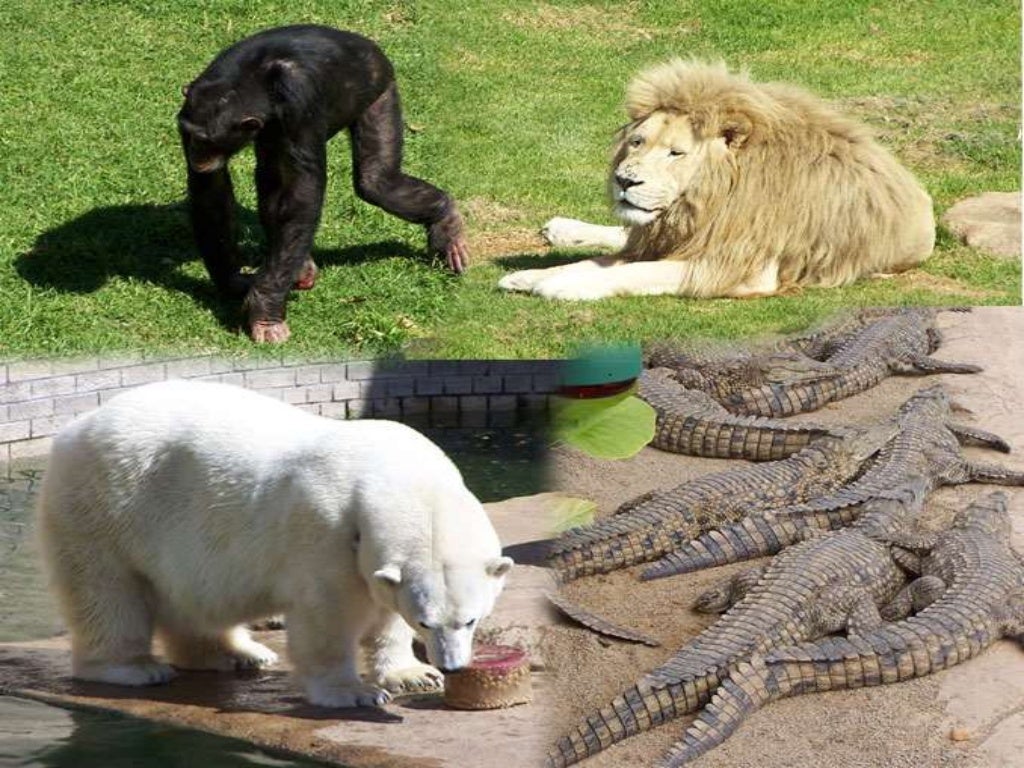 Get Cheap Flights New York to Johannesburg