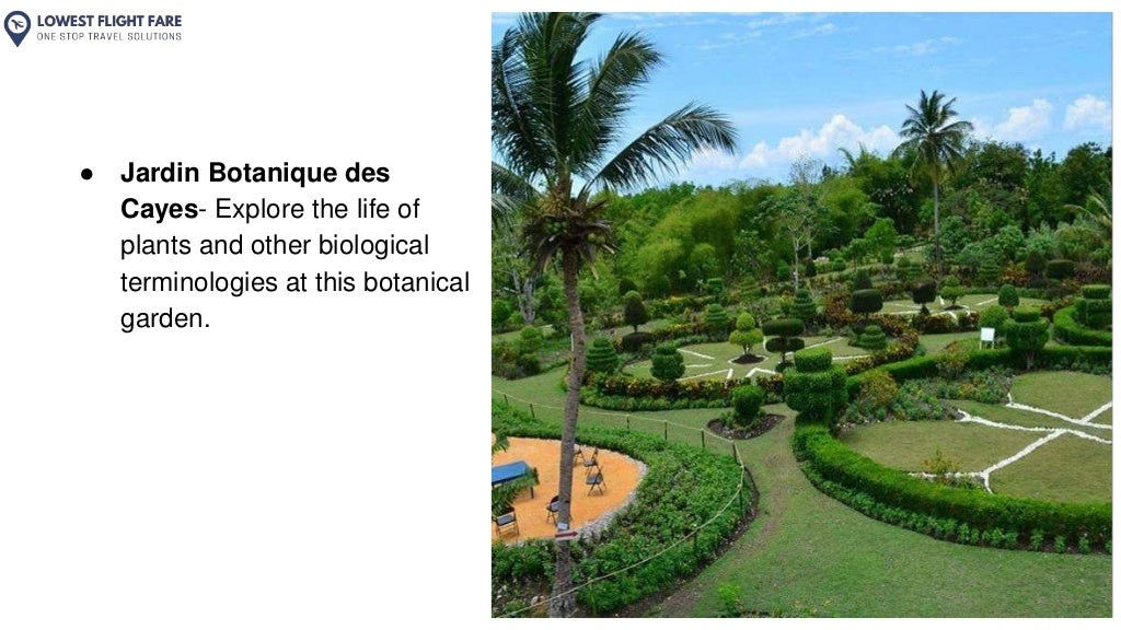 CHEAP FLIGHTS TO HAITI (1).pptx