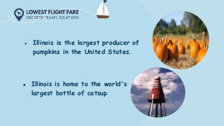 ● Illinois is the largest producer of
pumpkins in the United States.
● Illinois is home to the world's
largest bottle of catsup.
 