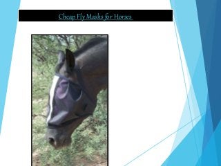 Cheap Fly Masks for Horses
 